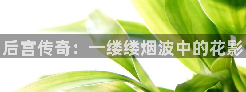 xl司樱花动漫：后宫传奇：一缕缕烟波中的花影