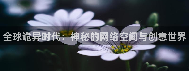 樱花动漫免费观：全球诡异时代：神秘的网络空间与创意世界